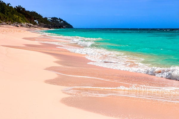 Picture of Bermuda Pink Sand Beach