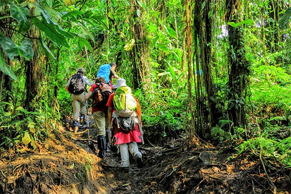 Costa Rica Rainforest Travel Guide