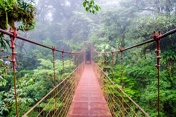 ymt-blog-costa-rica-rainforest-travel-guide-monteverde-cloud-forest