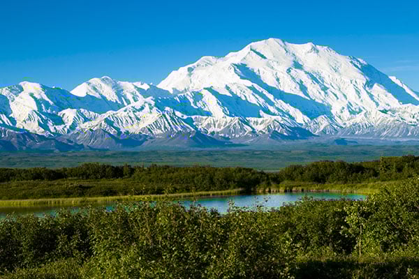 ymt-blog-things-you-did-not-know-about-denali-national-park
