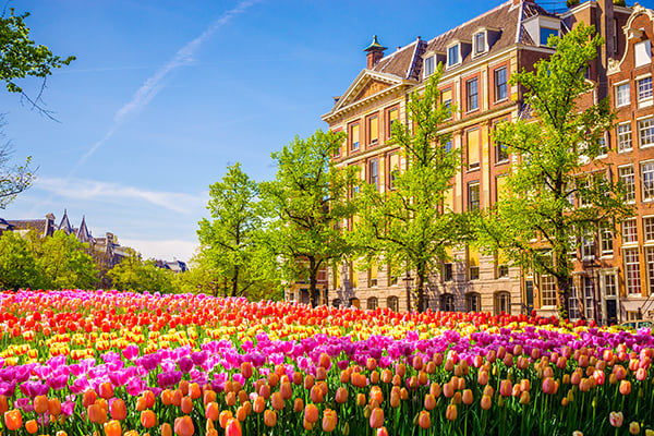 600x400-netherlands-tulips