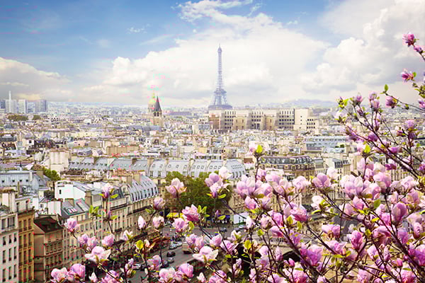 600x400-paris-france-magnolia-flowers-view