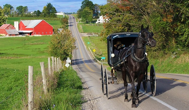 Amish Horse and Buggy Amish Horse and Buggy