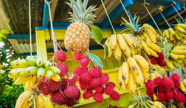 Paradise for Less: Eating on a Budget in Hawaii Paradise for Less: Eating on a Budget in Hawaii