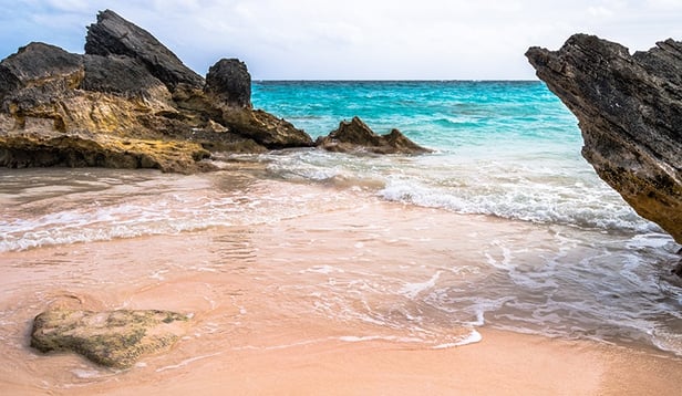 Picture of Bermuda Pink Sand Beach - Horseshoe Bay