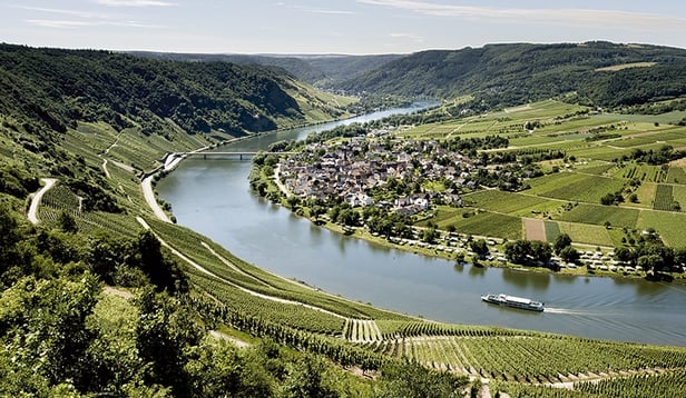 MOSEL.jpg
