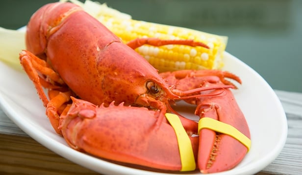 Lobster Lobster