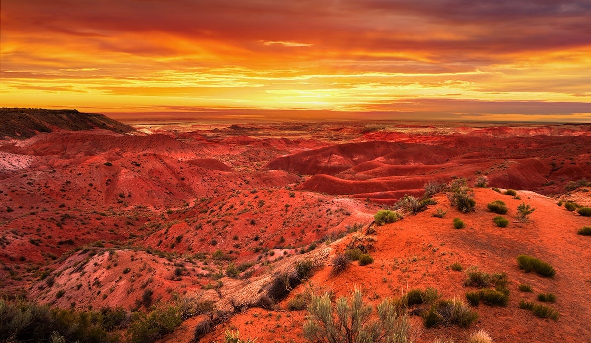 The Painted Desert: 5 Things To Do In This Arizona Treasure