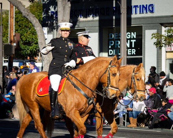 Rose-Parade-2020-Equestrian unit-RPLA