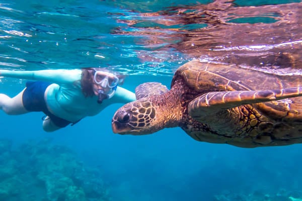 Woman-Snorkeling with Sea Turtles