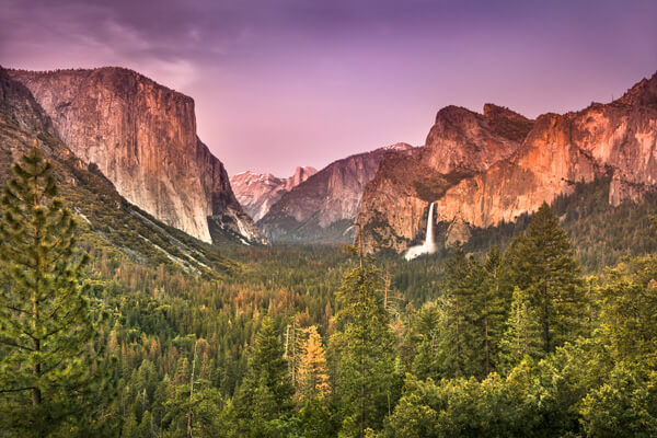 golden-california-sutters-mill-gold-rush