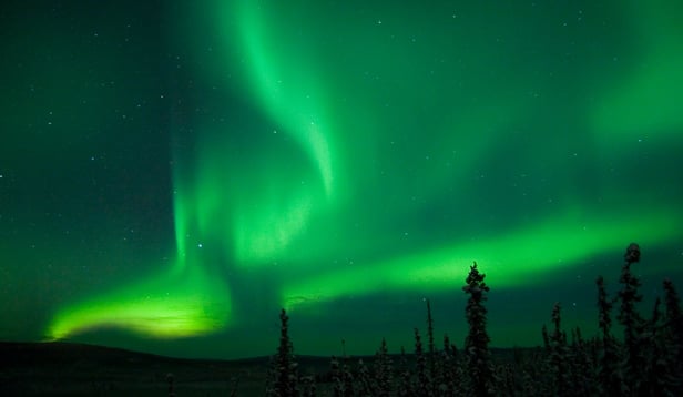 iStock_000001134050Medium.jpg