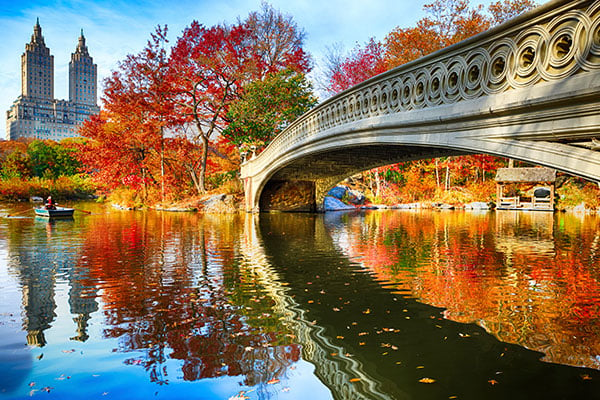 ymt-blog-11-must-see-attractions-in-nyc-central-park